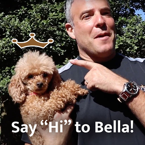 Bella the Crown Remodeling Mascot