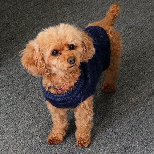 Bella