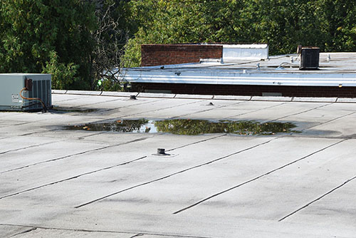 pooled water on roof