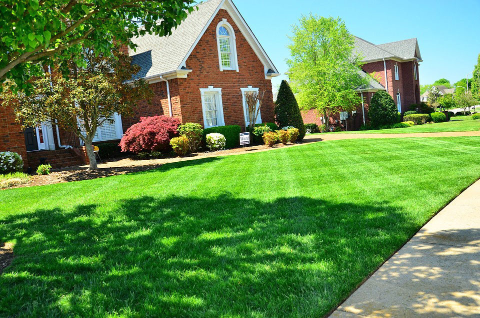 Gorgeous, Freshly-Cut Lawn